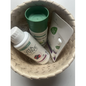 Празнична кутия ЗДРАВЕ- Течна коластра, Витамии Вита Актив, Лип за устни с Алое вера