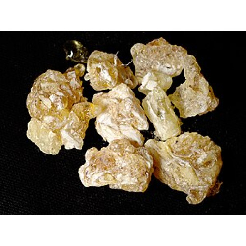 Перуански благороден тамян Copal Gold (Protium Grandifolium)10гр. Перуански благороден тамян Copal Gold (Protium Grandifolium)10гр.
