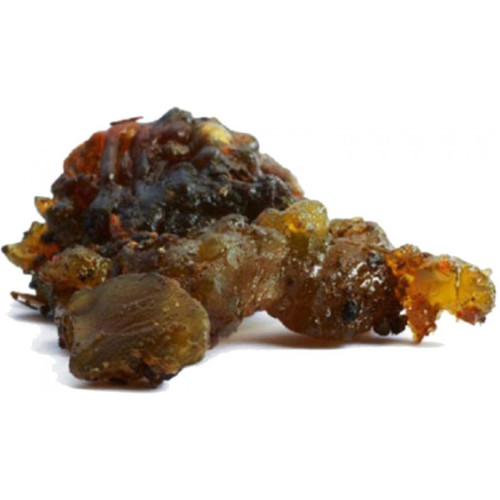 Индийски Гугул, (Commiphora mukul, Guggal, Guggul, Guggulu) 10 гр.