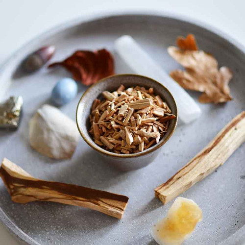 Бяло сандалово дърво, подходящо за кадене (santalum album)