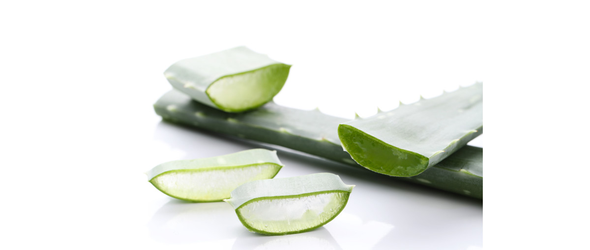 Мощен лек с безценни фармакологични свойства