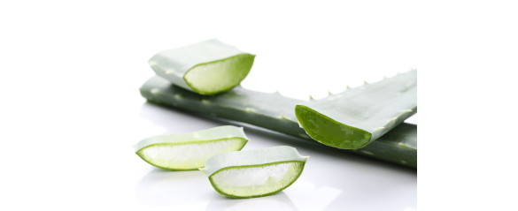 Мощен лек с безценни фармакологични свойства