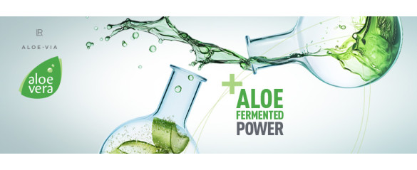 ALOE FERMENTED POWER