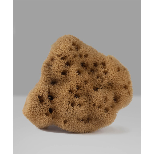 Fine Silk – Натурална морска гъба за бебета и деца