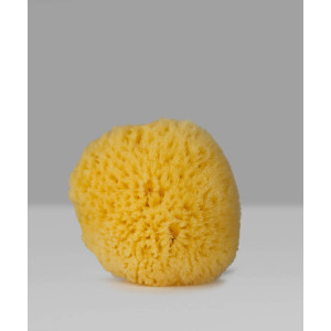 Hard Type – Натурална морска гъба за лице, шия и деколте