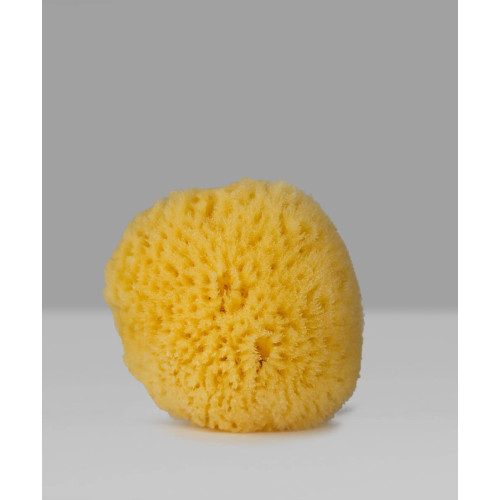 Hard Type – Натурална морска гъба за лице, шия и деколте