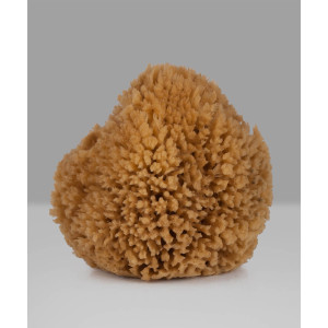 Honeycomb – Натурална морска гъба за възрастни